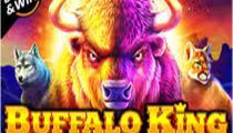 Buffalo King Megaways