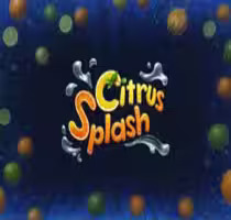  Citrus Splash