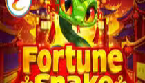 Fortune Snake
