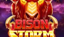 Bison Storm
