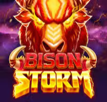Bison Storm