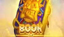 Book Of Zulu