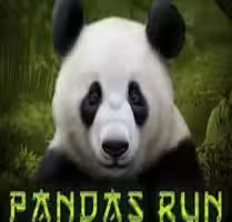 Pandas Run