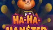 Ha-Ha-Hamster