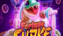 Fortune Snake
