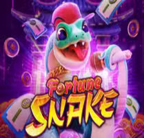 Fortune Snake