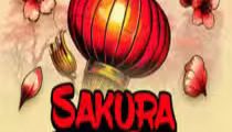 Sakura Riches 60