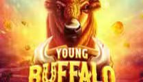 Young Buffalo Song