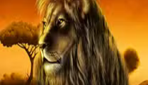 Savannah King