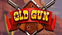 Old Gun