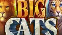 Big Cats