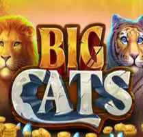 Big Cats