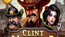 Clint West Wild
