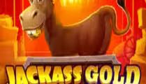 Jackass Gold Hold & Win Buy Bonus