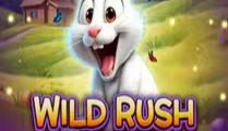 Wild Rush Bunny