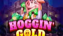 Hoggin’s Gold