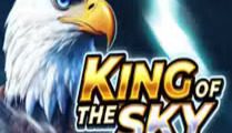 King of the Sky: Hit the Bonus