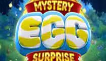 Mystery Egg Surprise