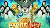 Panda Fury