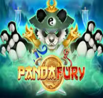 Panda Fury