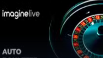 Auto Roulette