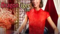Emperor Dragon Tiger
