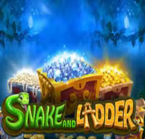 Snake and Ladder