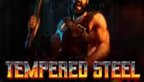 Tempered Steel