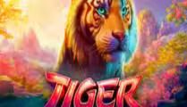 Tiger DoubleMax