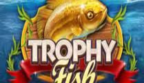 Trophy Fish