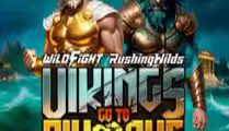 Vikings Go To Olympus Wild Fight