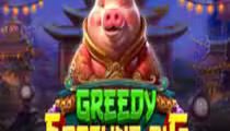 Greedy Fortune Pig