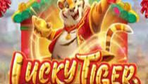 Lucky Tiger