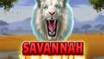 Savannah Legend