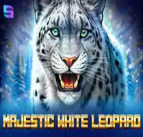 Majestic White Leopard