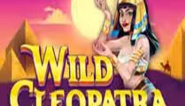 Wild Cleopatra
