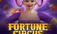 Fortune Circus