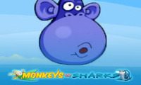 Monkeys vs Shark