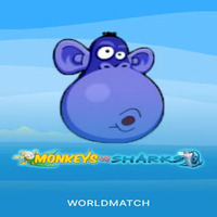 Monkeys vs Shark