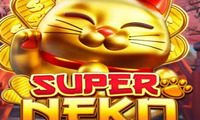 Super Neko