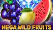 Mega Wild Fruits — Xmas