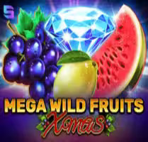 Mega Wild Fruits — Xmas