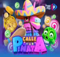 Calle Pinata