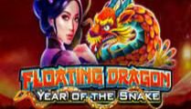 Floating Dragon — Year of the Snake