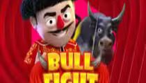 Bull Fight
