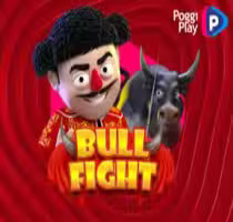 Bull Fight