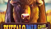 Buffalo Dale: GrandWays
