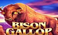 Bison Gallop