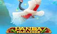 Panda Paradise