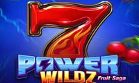 7 Power Wildz